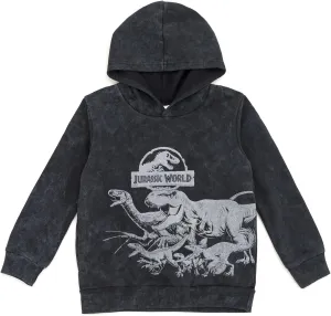 Jurassic World Dinosaur T-Rex Fleece Pullover Hoodie Toddler to Big Kid