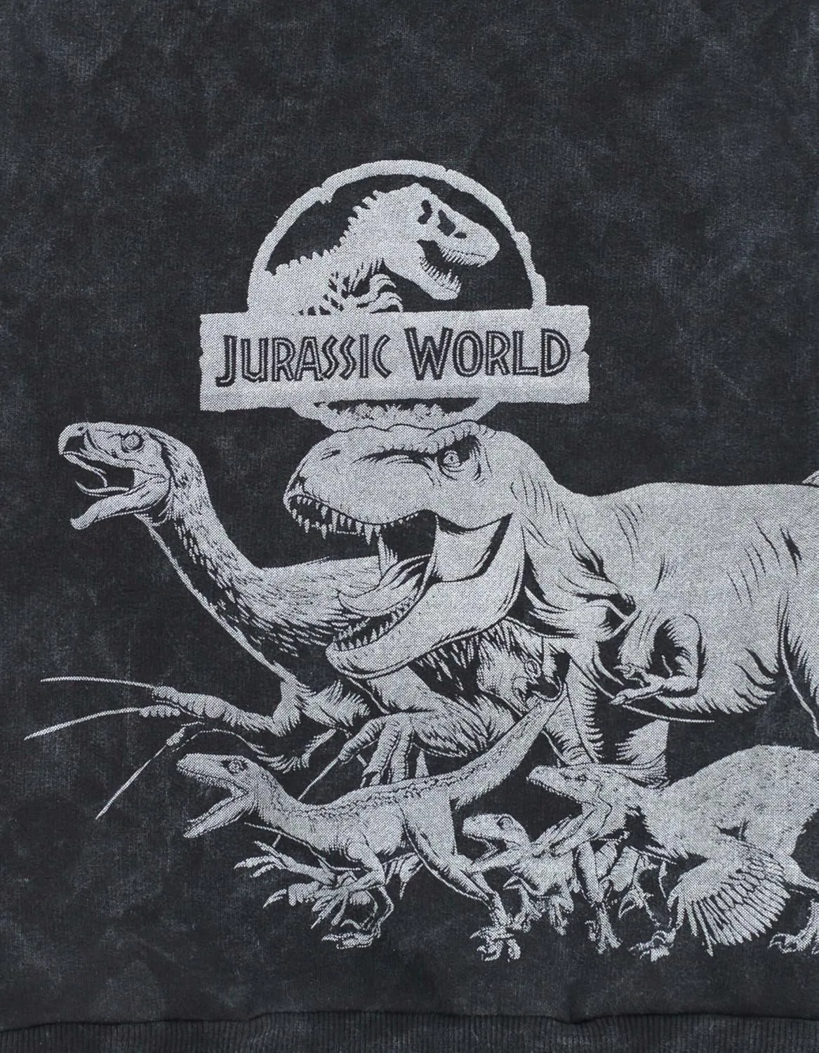 Jurassic World Dinosaur T-Rex Fleece Pullover Hoodie Toddler to Big Kid