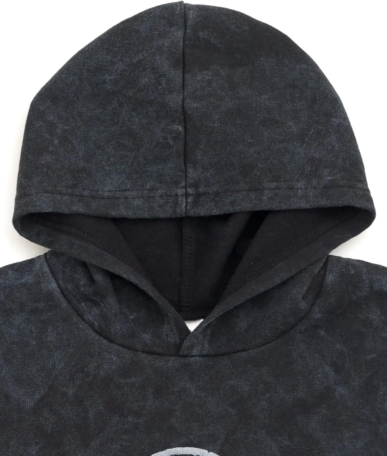 Jurassic World Dinosaur T-Rex Fleece Pullover Hoodie Toddler to Big Kid